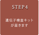 �X�e�b�v4
