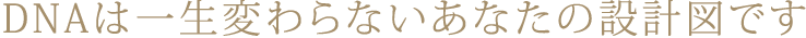 DNA�͈ꐶ�ς��Ȃ����Ȃ��̐݌v�}�ł�